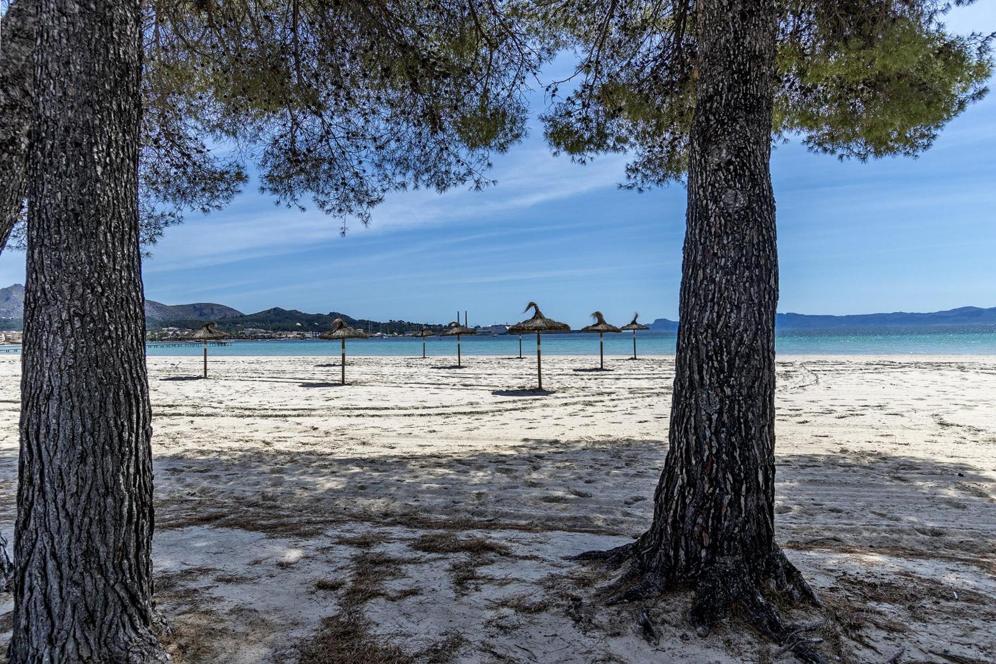 Apartment Just 150 M From The Alcudia