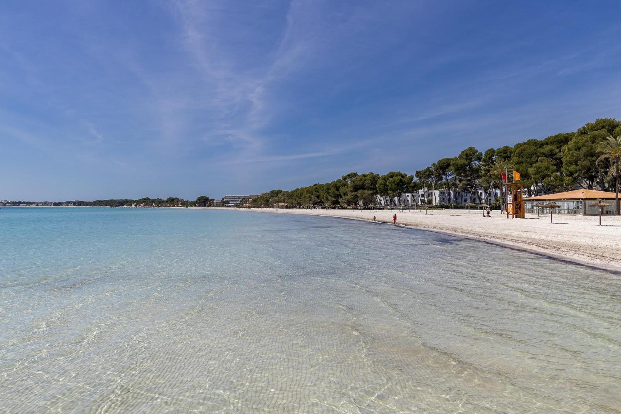 Apartment Just 150 M From The Alcudia *