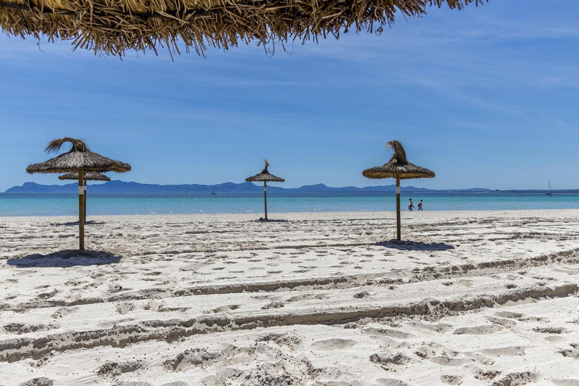 Just 150 M From The Alcudia Apartment